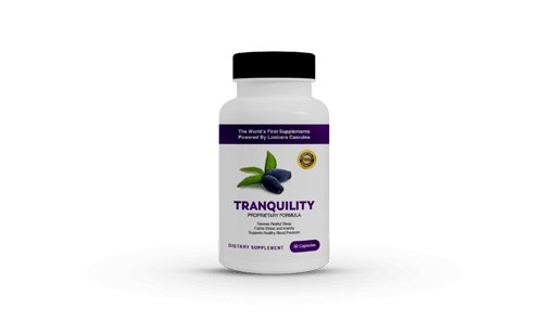 Lonicera Tranquility