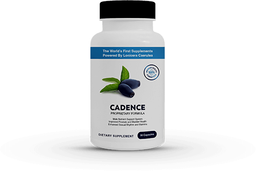 Lonicera Cadence